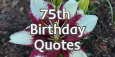 75th Birthday Quotes