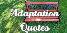 adaptation quotes