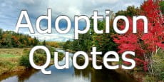 adoption quotes