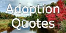 adoption quotes