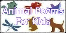 animal poems for kids