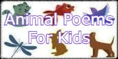 Animal Poems For Kids