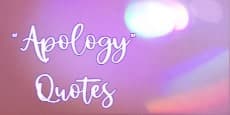 Apology Quotes