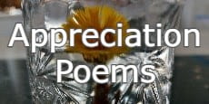 appreciation poems