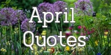 April Quotes