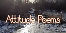 Attitude poems