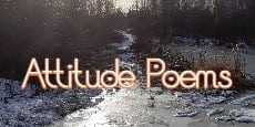 attitude poem