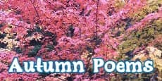 Autumn poems