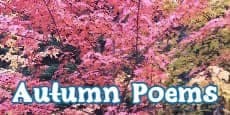 Autumn Poems 