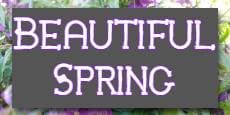 Beautiful Spring