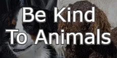 be kind to animals