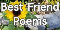 best friend poems