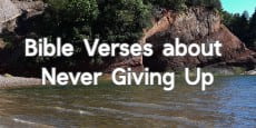 Bible Verses about Never Giving Up