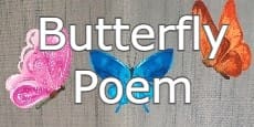 butterfly poems