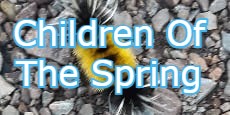 Children Of The Spring