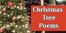 Christmas Tree Poems