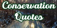 Conservation Quotes