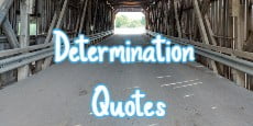 Determination Quotes