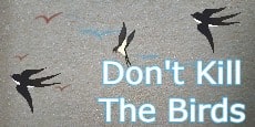 don't kill the birds