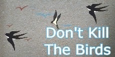 Don't Kill The Birds