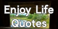 Enjoy Life Quotes