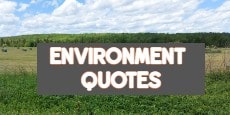 Environment Quotes 