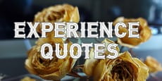 Experience Quotes