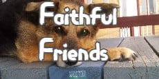faithful friends