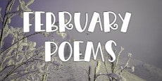 February Poems