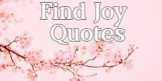 Find Joy Quotes