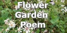 flower garden poem