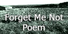 Forget Me Not Poem