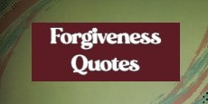  Forgiveness Quotes