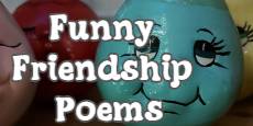 Funny Friendship Poems