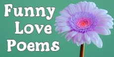 funny love poems