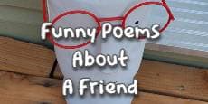 Funny Poems About A Friend