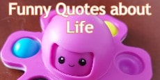 Funny Quotes about Life