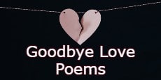 Goodbye Love Poems