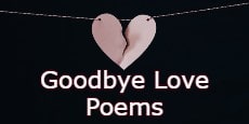 goodbye love poems