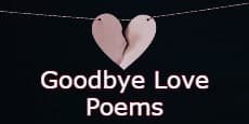 Goodbye Love Poems