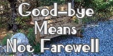 Good-bye Means Not Farewell