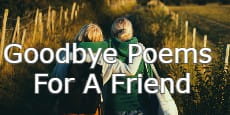 goodbye poems for a friend