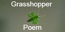 grasshopper poem