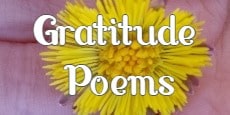 gratitude poems