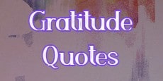 gratitude quotes