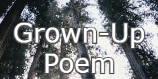 Grown-Up Poem