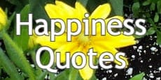 happiness quotes