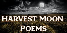 harvest moon poems