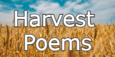 harvest poems