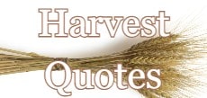 harvest quotes